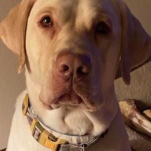 Meet your Posher, Annette